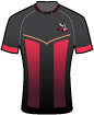 Goole Vikings shirt