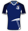 Leinster Rugby shirt