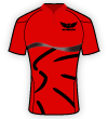 Scarlets shirt