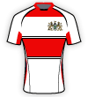 Plymouth Albion shirt