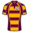 Sedgley Park Tigers shirt