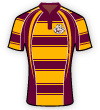 Sedgley Park shirt