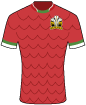 North Wales Crusaders shirt