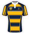 Worthing Rugby Football Club shirt