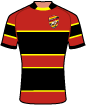 Dewsbury Rams shirt